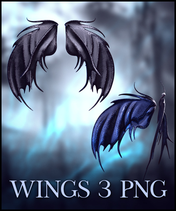 (image for) 3D Wings PNG 3