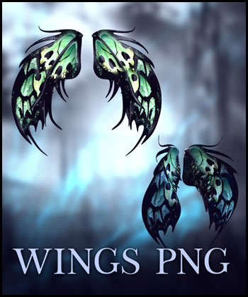 (image for) 3D Wings PNG 4