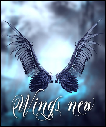 (image for) 3D Wings PNG 2