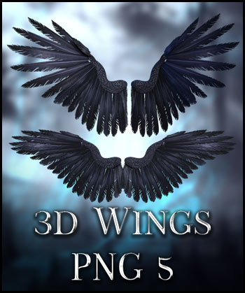 (image for) 3D Wings PNG 5