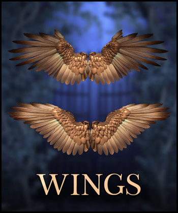 (image for) 3D Wings PNG 6