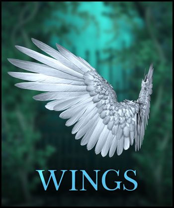 (image for) 3D Wings PNG 7