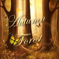 (image for) Autumn Forest