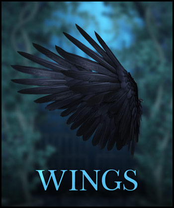 (image for) Black Crow Wings PNG