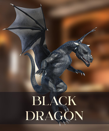 (image for) Black Dragon PNG