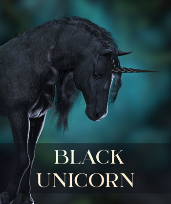 (image for) Black Unicorn PNG