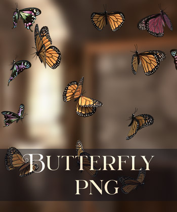 (image for) Butterflies Overlays 2