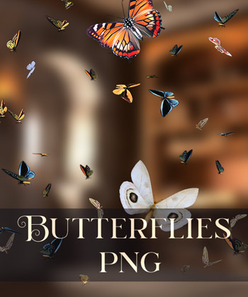 (image for) Butterflies Overlays 1
