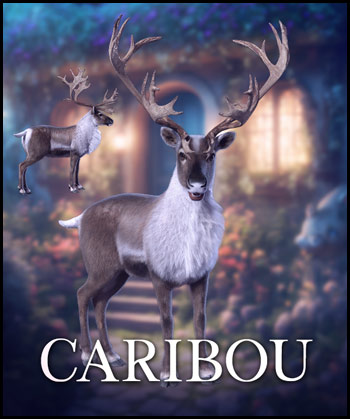 (image for) Caribou PNG