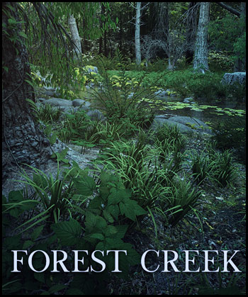 (image for) Forest Creek