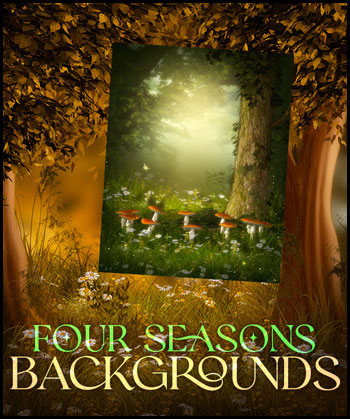 (image for) Four Seasons Backgrounds
