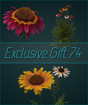 (image for) Gift 74