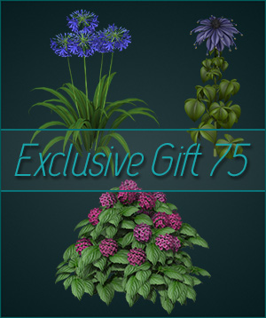 (image for) Gift 75