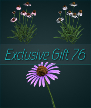(image for) Gift 76