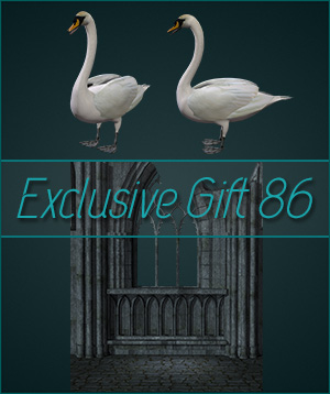 (image for) Gift 86