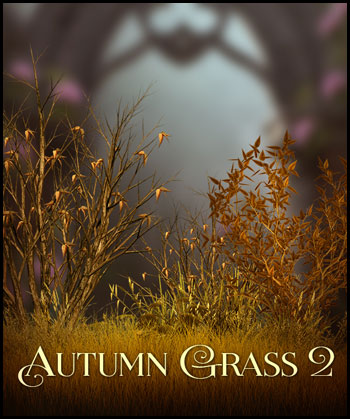 (image for) Autumn Grass 2