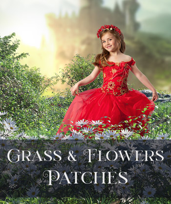 (image for) Grass & Flower Patches PNG