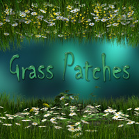 (image for) Grass Patches