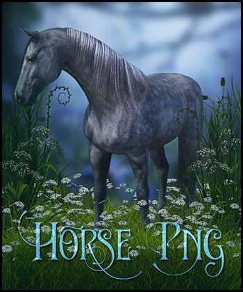 (image for) Horses 7 Png