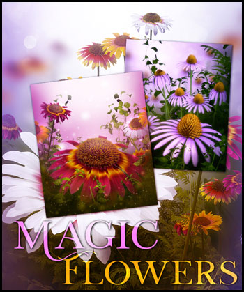 (image for) Magic Flowers