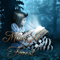 (image for) Midnight Forest