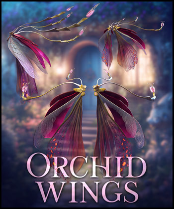 (image for) Orchid Wings