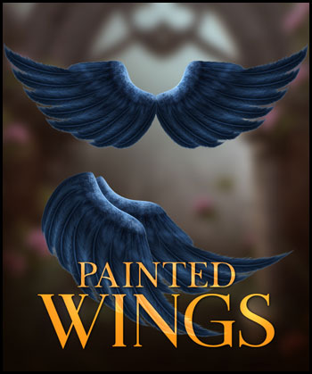 (image for) Painted Wings