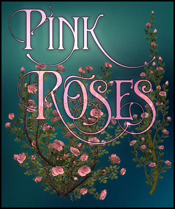 (image for) Pink Roses 2