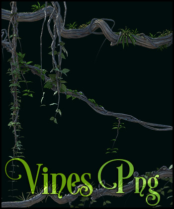 (image for) Png Vines