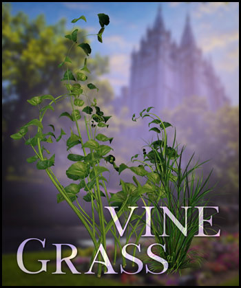 (image for) Vines & Grass