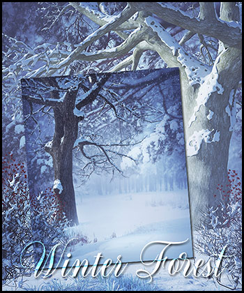 (image for) Winter Forest Backgrounds