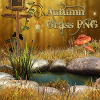 (image for) Autumn Grass