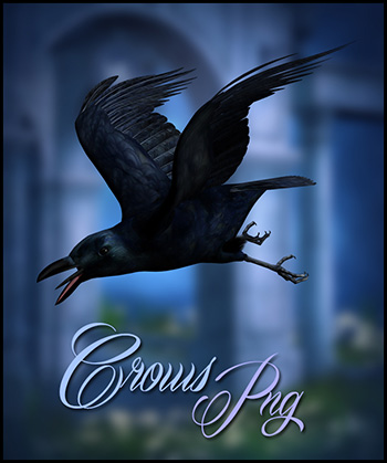 (image for) Crows PNG tubes - Click Image to Close