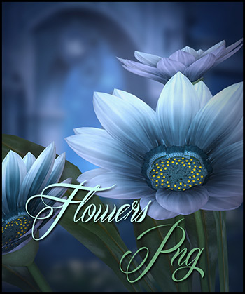 (image for) Flowers PNG