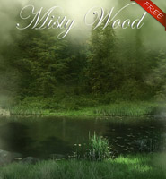 (image for) Misty Wood