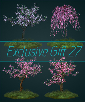 (image for) Gift 27