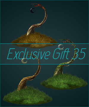 (image for) Gift 35