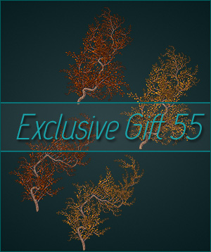 (image for) Gift 55