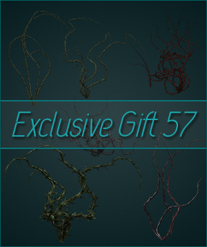 (image for) Gift 57