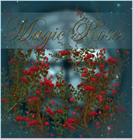 (image for) Magic Roses