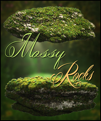 (image for) Mossy rocks
