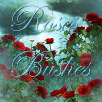 (image for) Roses Bushes