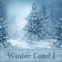 (image for) Winter Land 1