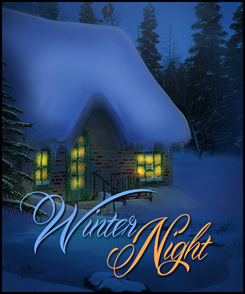 (image for) Winter Night