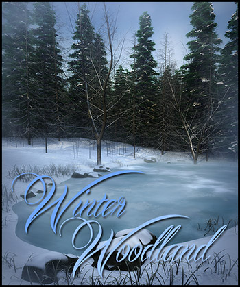 (image for) Winter Woodland