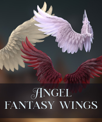 (image for) 3D Wings PNG 9