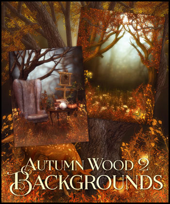 (image for) Autumn Wood 2