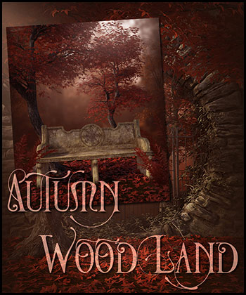 (image for) Autumn Woodland - Click Image to Close