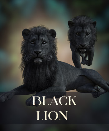 (image for) Black Lion - Click Image to Close