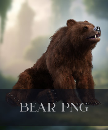 (image for) Brown Bear 2 PNG